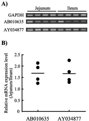 Pl Caco Quantitative Evaluation Of The Activity And