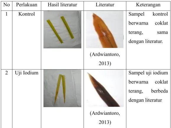 Penyakit Tungro Pada Padi UJI IODIUM PADA TANAMAN YANG