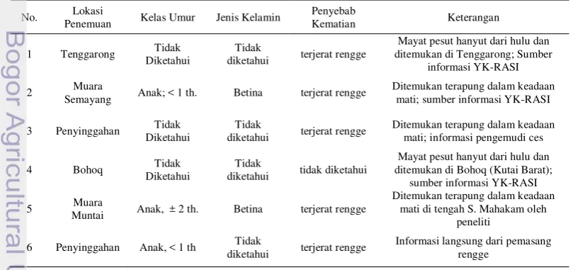 Re Desain Konservasi Pesut Mahakam Orcaella Brevirostris Gray