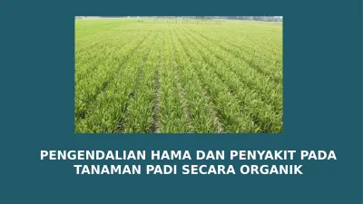 Pengendalian Hama Dan Penyakit Pada Tanaman Padi Secara Organik