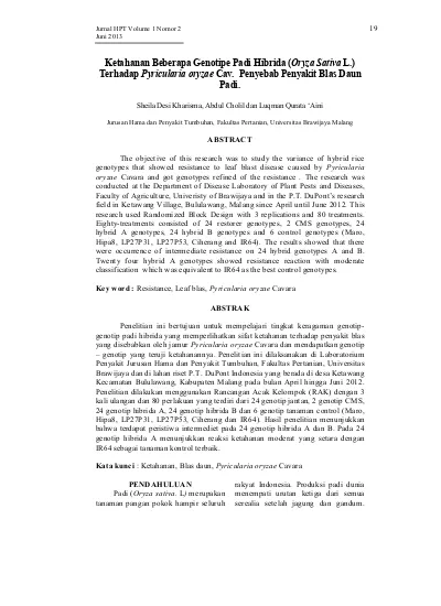 Ketahanan Beberapa Genotipe Padi Hibrida Oryza Sativa L Terhadap
