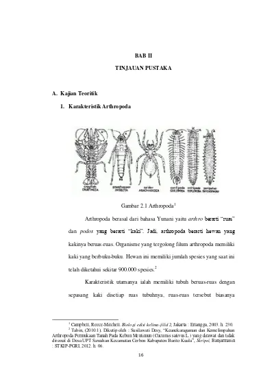 Bab Ii Tinjauan Pustaka A Kajian Teoritik Karakteristik Arthropoda