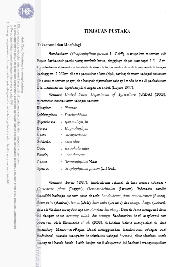 TINJAUAN PUSTAKA Taksonomi Dan Morfologi