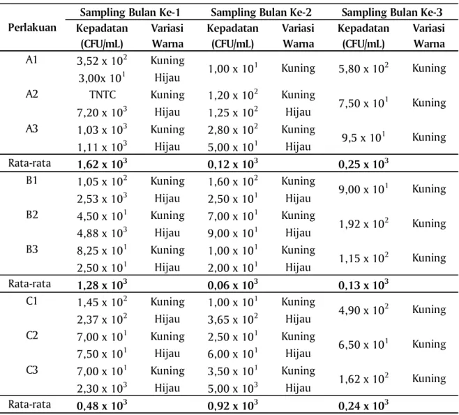 VARIASI WARNA BAKTERI Vibrio Sp PADA BUDIDAYA UDANG VANAME SISTEM