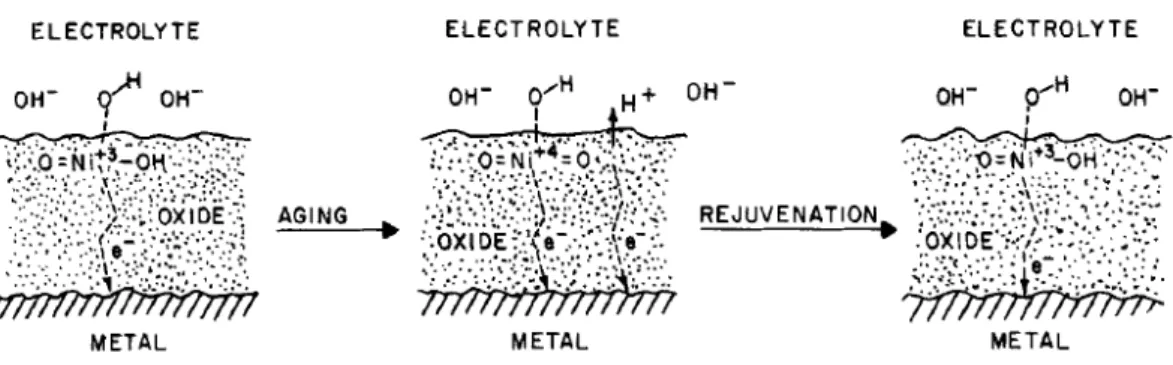 Hydrogen Evolution Reaction Her Water Electrolysis