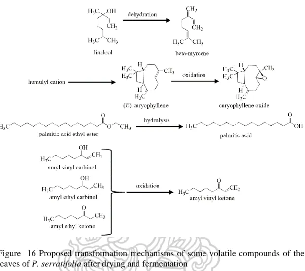 Comparison Of Fresh Dry And Fermented Leaf Volatile Oils By Using DB 5