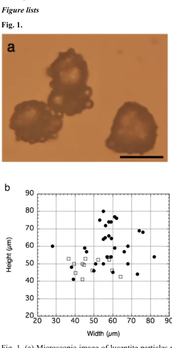 Fig. 1. (a) Microscopic image of lucentite particles mixed with D. radiodurans cells. 