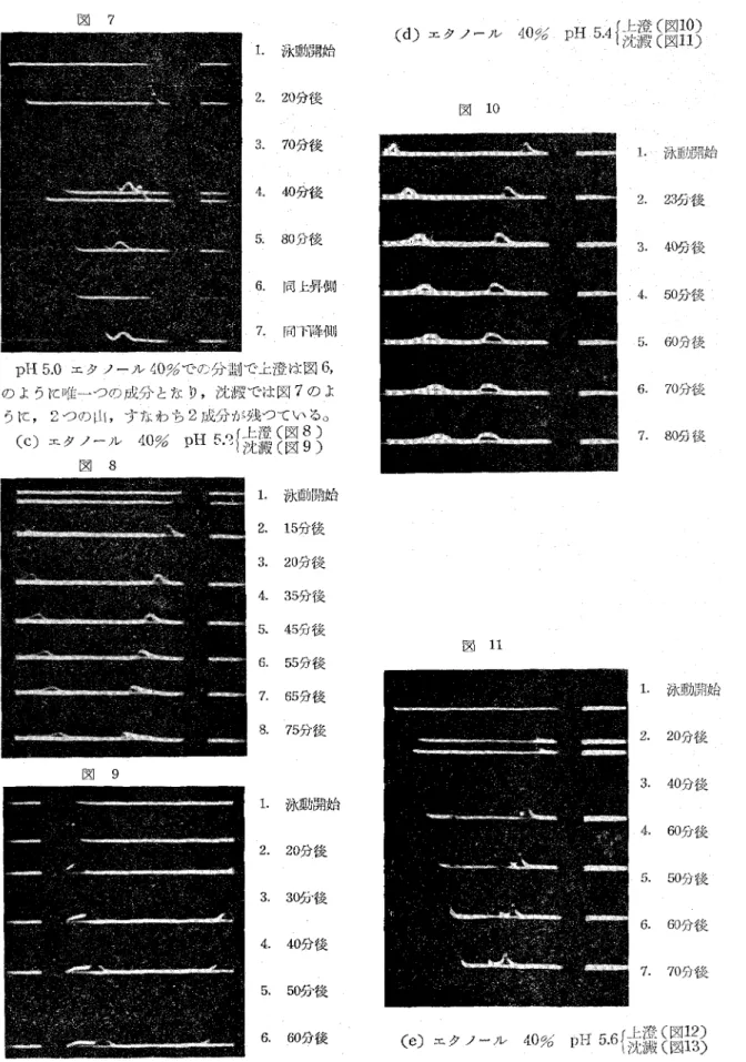 図 7 1． 2． 3． 4． 5． 6． 7． 泳動開始20分後70分後40h後80分後同．ヒ昇側 同下降側 pH 5．0エタノール40％での分国で上澄は図6， のように唯一つの成分となり，沈澱では図7のよ うに，2つの山，すなわち2成分が残っている。 （・）エ・・一ル4・％・H呵纒1圏§1      図 8 図 9 1．2．3． 4．5．6．7． 8． 1． 2． 3． 4． 5． 6． 泳重態始15分後20分後35分後45分後55分後65分後75分後 泳動開始20分後30分後40分後50分後 60分後