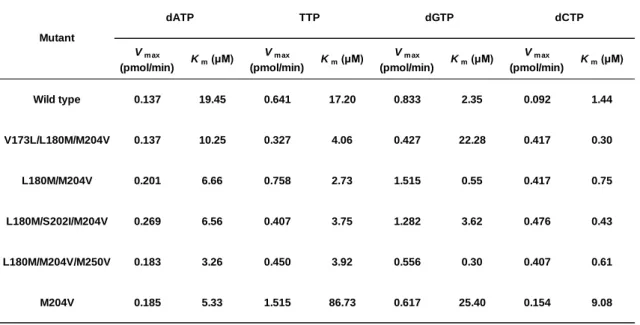 Tabl e.  1.  伸 長 ア ッ セ イ に お け る カ イ ネ テ ィ ク ス 解 析 V m ax (pmol/min) K m  (μM) V m ax (pmol/min) K m  (μM) V m ax (pmol/min) K m  (μM) V m ax (pmol/min) K m  (μM) Wild type 0.137 19.45 0.641 17.20 0.833 2.35 0.092 1.44 V173L/L180M/M204V 0.137 10.25 0.327 4