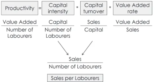Figure  3 :  Productivity Improvement Formula This formula shows how labour productivity is structured.