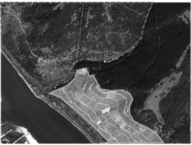 Figure 11: Aerial view of wine fi  elds  in  Lorchhausen. Upper part: Abandoned fi elds