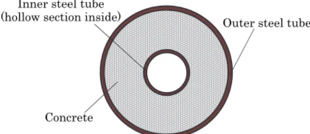 Fig. 2 Cross-Section of column with concrete-filled  double-layer steel tubes 