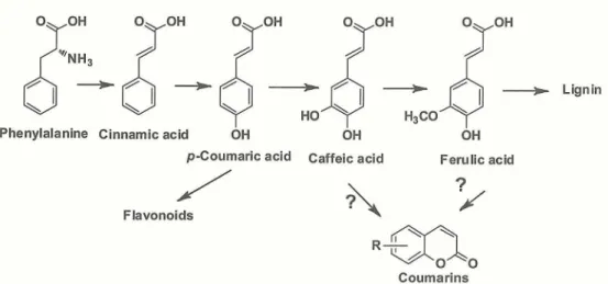 Fig. 2 Coumarins in plants