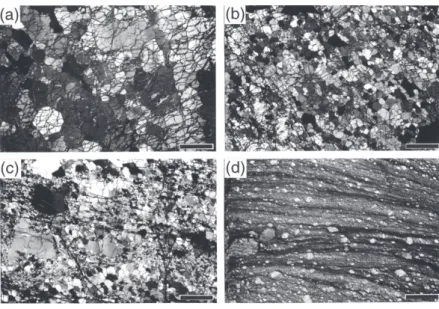 Fig. 3　  Photomicrographs of the typical deformation microstructures in the Horoman peridotites