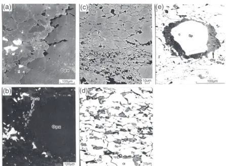 Fig. 5 　  BSE images of deformation microstructures. (a) Recrystallized Opx + Ol aggregate at the rim of  large Opx grains extending toward the foliation in class 1 peridotite (b) Reaction rim of  parg-asitic hornblende recrystallized in the vicinity of la