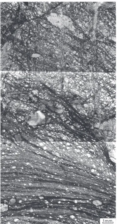 Fig. 8　  Photomicrograph  of  the  class  2-3  shear  zone.  The  area  is  shown  in  Fig