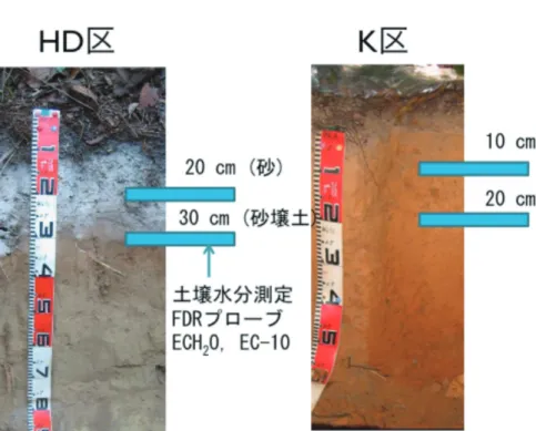 Fig. 1：Soil profi les and depth of soil moisture sensors.