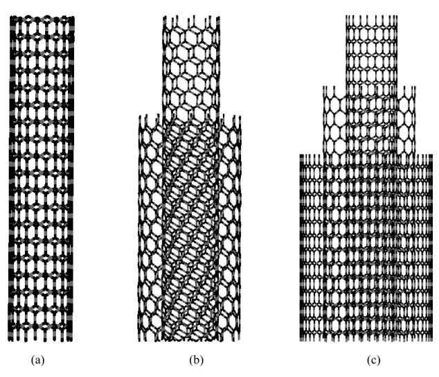 Figure 3 Classification of carbon nanotubes based on the number of walls. (a) Single- Single-walled  CNT  (SWNT)