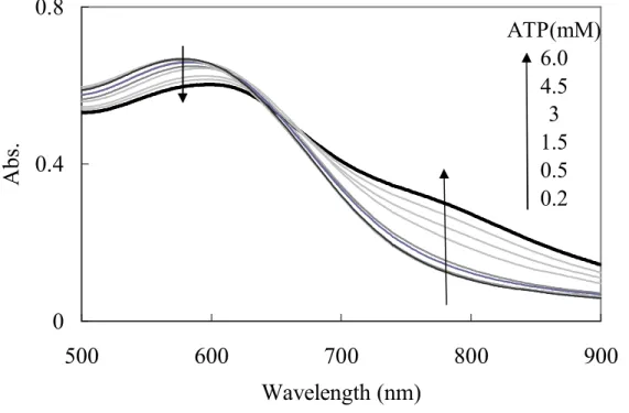 Fig.  3-2.  ATP の濃度変化による PDMAp（0.24  mM）の吸光変化  (DMSO-H 2 O  (9:1,v/v)) 