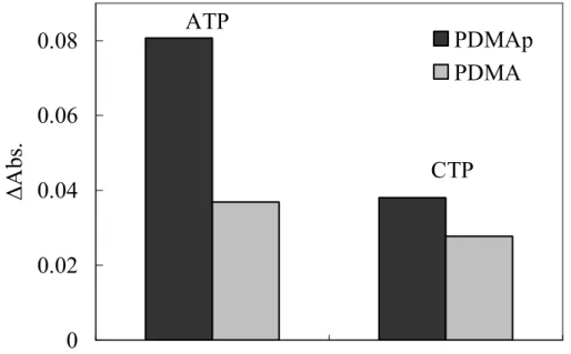 Fig. 3-6. ATP, CTP 添加（1.5 mM）による PDMA （0.24 mM）と PDMAp （0.24 mM）