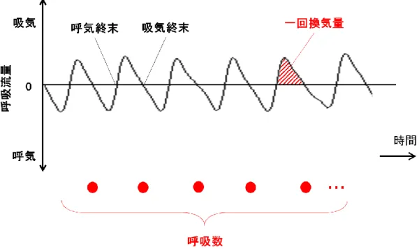 図 12  呼吸パラメーターの算出方法 