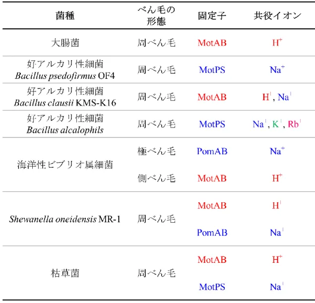 表 1-1．べん毛の種類と固定子と共役イオン 