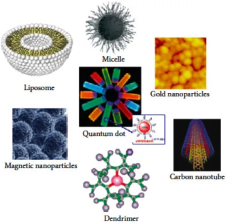 Figure 1. Examples of nanomaterials and nanocarrier systems.  16, 24