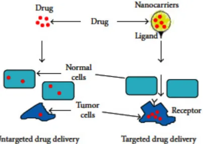 Figure 2. Schematic of nanocarrier systems for site-targeted drug delivery.  25