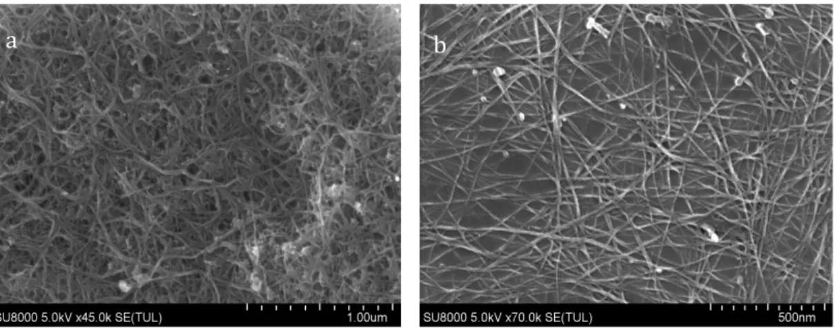 Figure  2.  Scanning  electron  microscopy  images  of  (a)  Pristine  and  (b)  Purified  SWCNTs
