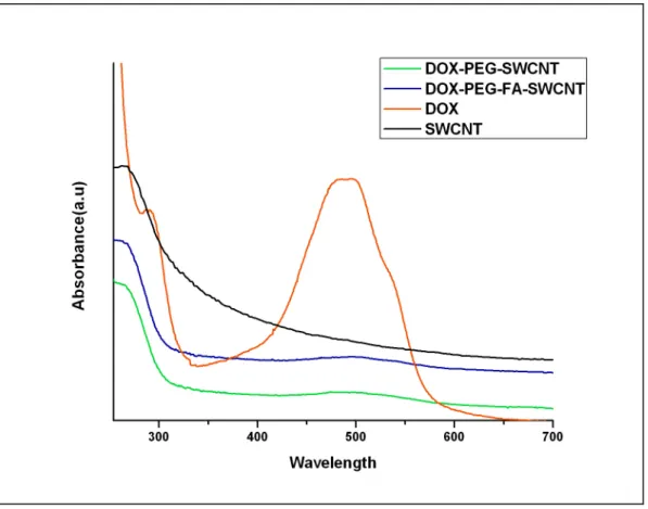 Figure 5. UV-Vis absorbance spectra of pristine SWCNT, plain DOX, DOX-FA- DOX-FA-PEG-SWCNT and DOX-DOX-FA-PEG-SWCNT