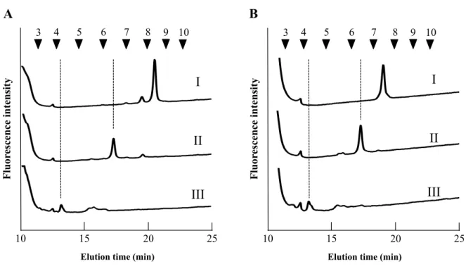 Fig.  2-4.  d2 の β — N —アセチルヘキソサミニダーゼおよび α −マンノシダーゼ消化産物のサ