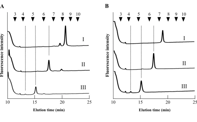 Fig. 2-6. d3-1 の β —N—アセチルヘキソサミニダーゼおよび α −マンノシダーゼ消化産物のサ