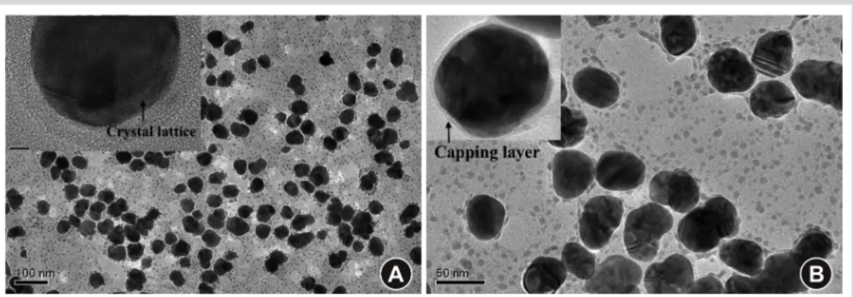 Figure  1  (a)  Wide  view  of  nanoparticles  and  small  particles  of  different  sizes  were also present, inset – crystal lattice fringes (b) Nanoparticles covered with a  capping layer, inset- capping layer around the particle
