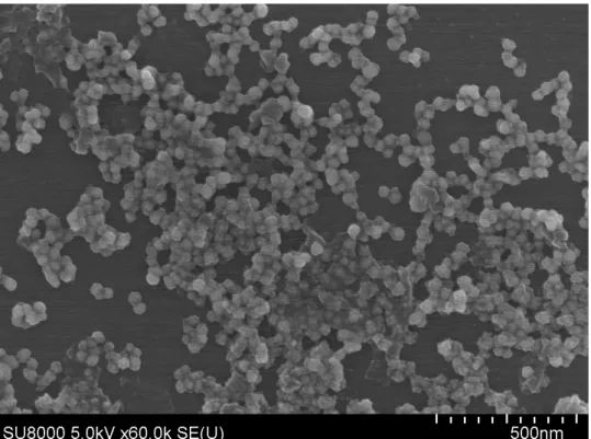 Figure 7 Wide view of Ag NPs covered with a capping layer 
