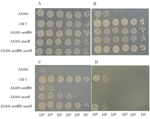 Fig. 2-3 Organic solvent tolerances of mutants carrying mutations in marR  and/or acrR derived from strain CH7 