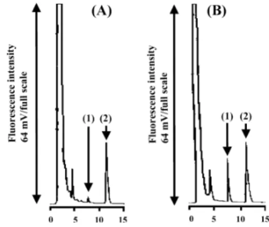 Figure 2 shows the chromatograms obtained from (A) plasma spiked with BPHP (0.1 m g/ml) and IS (1 mg/ml) and (B) plasma at 0.5 h after a single i.p