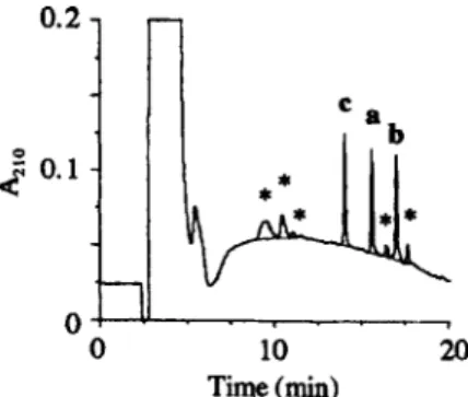 Fig. 1. RP-HPLC Profiles of 20 nmol Each of Standard Myr-Gly-OH (a), Pal-Gly-OH (b) and Lau-Gly-OH (c) in a MSA : Water : Dioxane (2 : 1 : 1) Solution after 12 h Incubation at 60 °C Followed by Neutralization