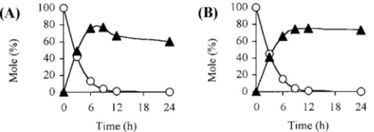 Fig. 4. Time Course of Changes in Concentration of Y-Gly-Ala-Phe-OH (A; Y 5 Pal, B; Y 5 Lau) and Their Hydrolysates during Incubation in MSA : Water : Dioxane (2 : 1 : 1)  at  60 °C  for 24 h