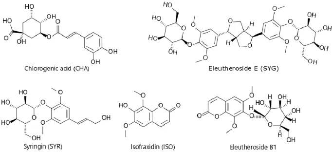 Figure 4.  The structures of  Acanthopanax senticosus  HARMS’s major components. 