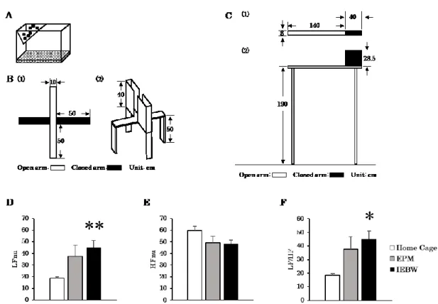 Figure  6.  Improved  elevated  beam  walking  (IEBW)  as  an  improved  version  of  the  elevated  plus  maze  (EPM)  and  analysis  of  the  heart  rate  variability  (HRV)  in  each  conditions