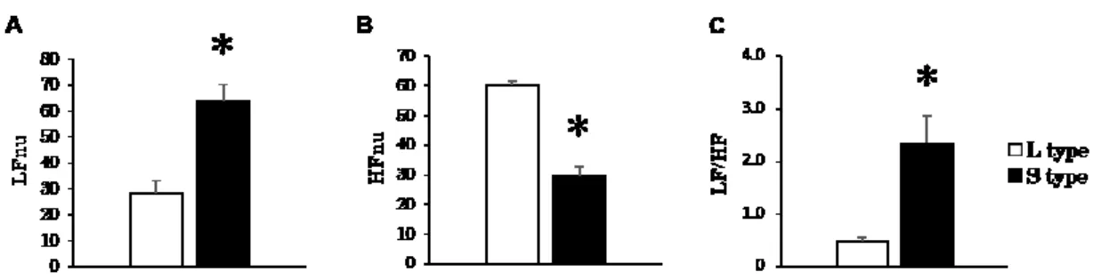 Figure 7.  S type rat shows higher sensitivity to anxiety in the IEBW test than L type  rat