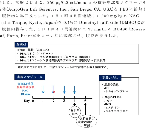 Fig. 9  実 験 方 法 3.  マ ウ ス 後 肢 容 積 の 測 定 除 毛 処 置 の 24 時 間 後 、 ペ ン ト バ ル ビ タ ー ル ナ ト リ ウ ム の 腹 腔 内 投 与 に て マ ウ ス を 麻 酔 し 、 第 1 章 同 様 に Cosgrove ら の 方 法 に 則 り 、 後 肢 容 積 を 測 定 し た [Ref