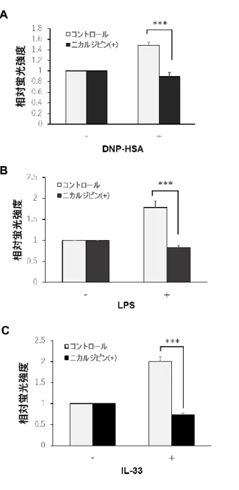 図 2. FcεRI、TLR4 および IL-33 受容体刺激による亜鉛ウェーブの誘導 