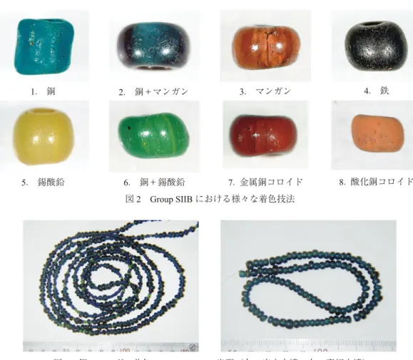 図 2 Group SIIB における様々な着色技法