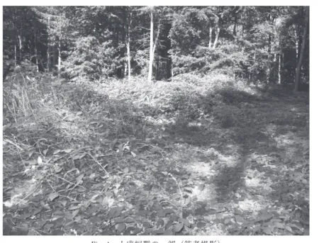 Fig. 4 土盛塚群の一部（筆者撮影）