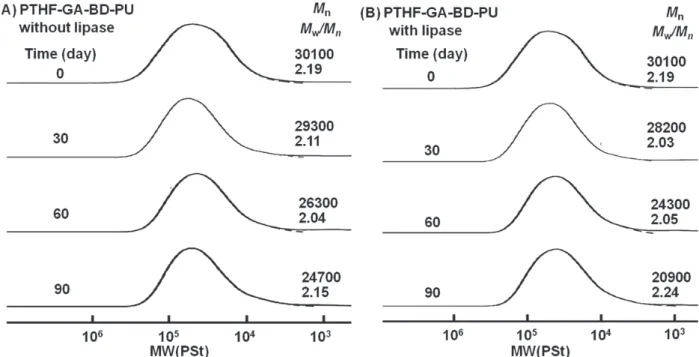 Figure  6.    Change  in  molecular  weight  distribution  curves  of  the  PTHF-GA-BD-PU  measured  by  GPC;  the  degradation reactions  were  carried out  in  heterogeneous  system  using  film  specimens  (10  mm  x  10  mm;  1  mm  thickness)  with  l