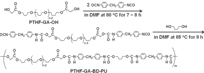 Table  2.    Synthesis  of  Glycolate-containing  Polyurethanes  (PTHF-GA-BD-PU)  with  Glycolate-containing Poly(tetramethylene glycol)s (PTHF-GA-OH) of Different Molecular Weight 