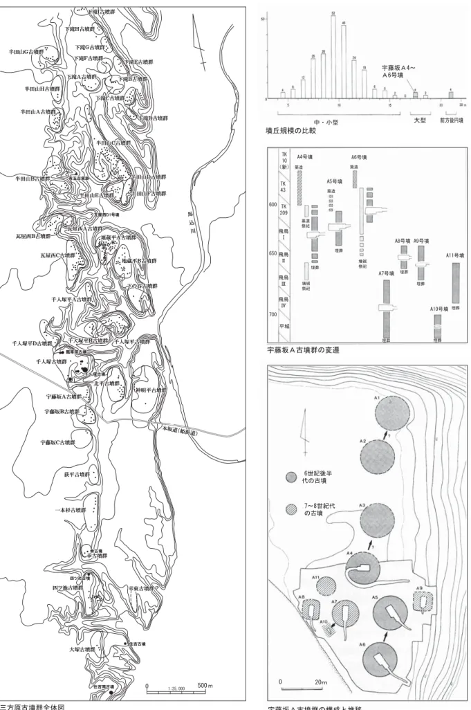 図 10 三方原古墳群における階層構造