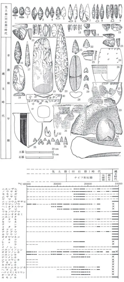 図 20 稲田孝司による「縄文変革」および動物相の変化とその年代観 ［稲田，1986］