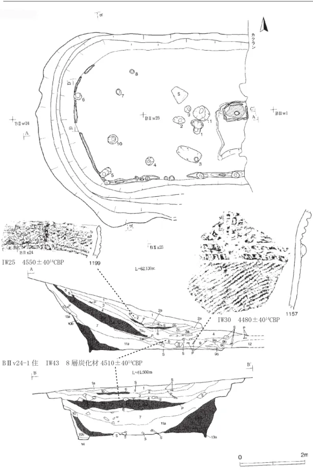図 8  岩手県力持遺跡BⅡv24住 1 の年代測定試料の出土位置
